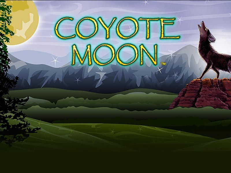 Coyote Moon Slot