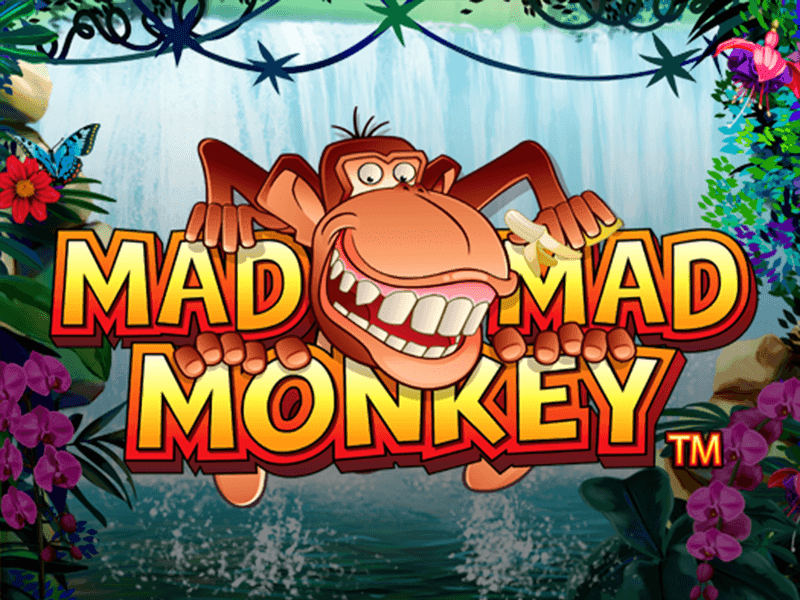 Mad Mad Monkey Slot