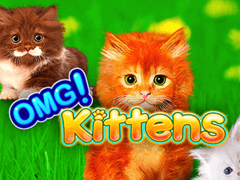 Omg Kittens Slot