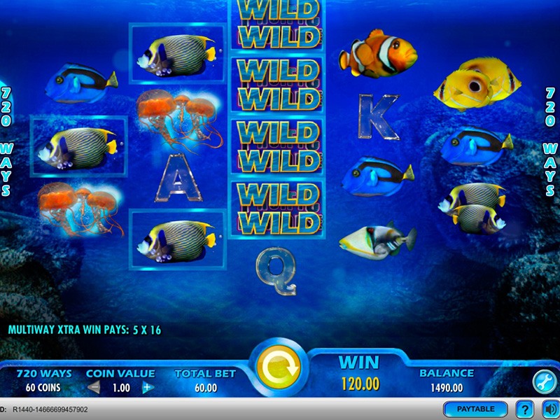 Pacific Paradise Slot