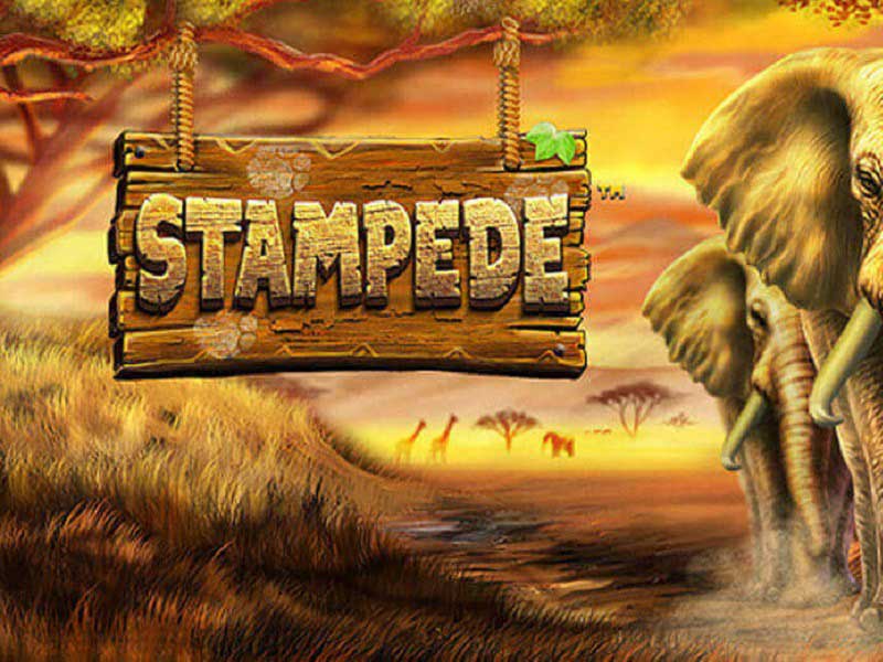 Stampede Slot