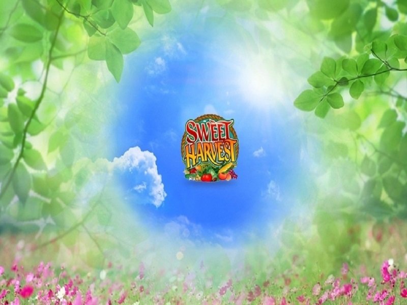 Sweet Harvest Slot