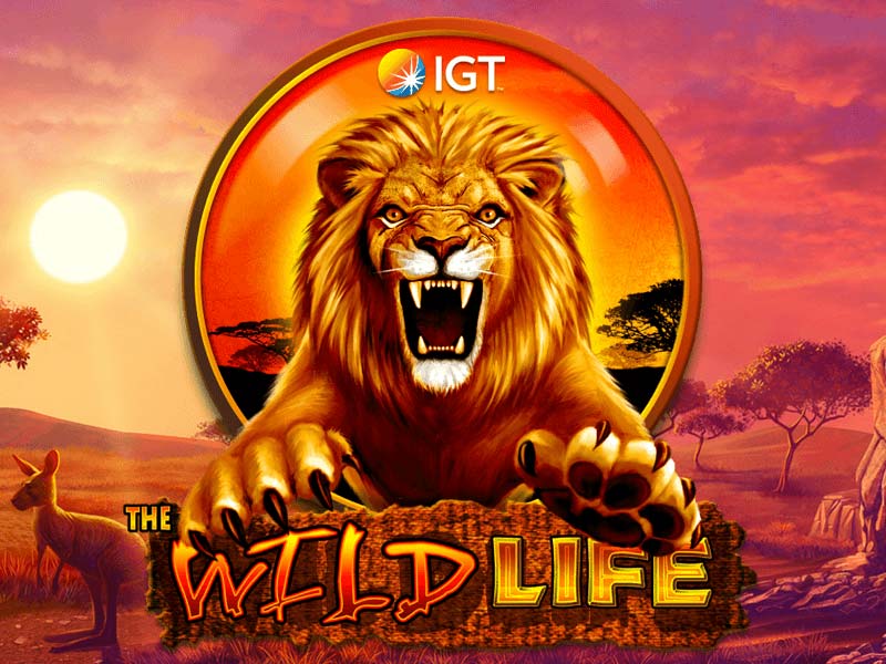 Wild Life Slot