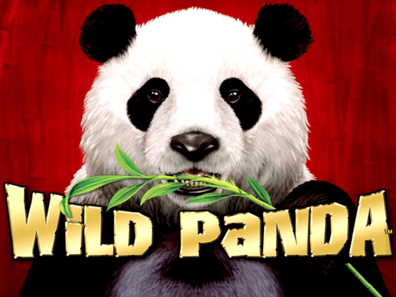 Wild Panda Slot